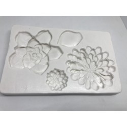 Forma de Silicone - Suculentas  - cód.FS2082