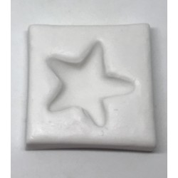 Forma de  Silicone Estrela do Mar - Coleção Cláudia Pupo cód. FS1268